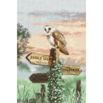 (image for) Barn Owl
